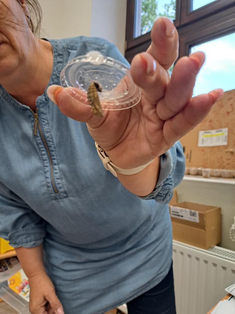 Třicátý třetí týden ve školní družině., 15. 5. 2026