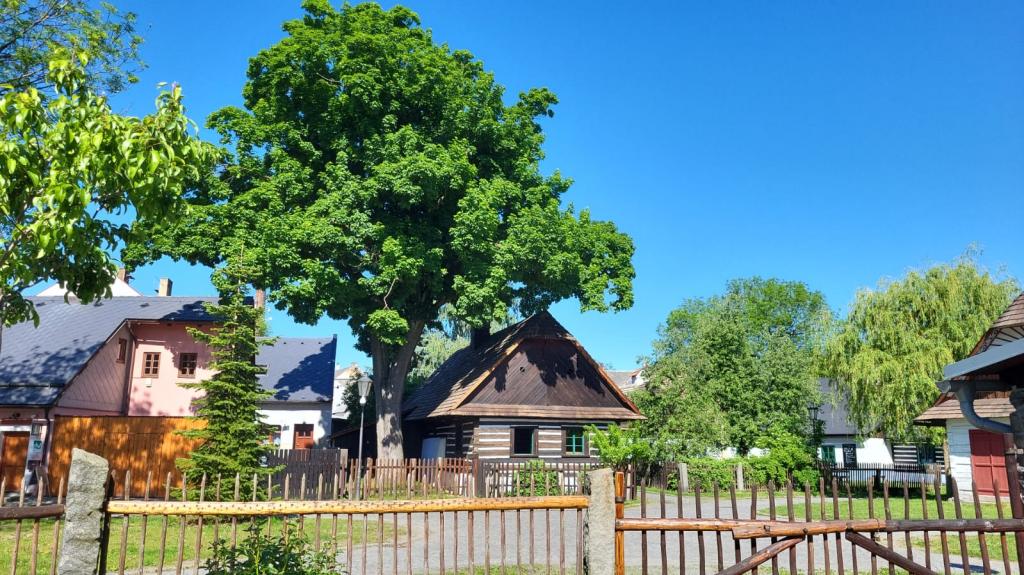 Věda a tradice, 26. 5. 2026
