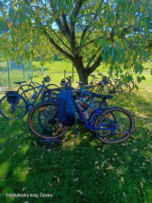 Cyklovýlet žáků 6. B – Skuteč, Hněvětice a hospůdka Pod rozhlednou, 26. 6. 2026