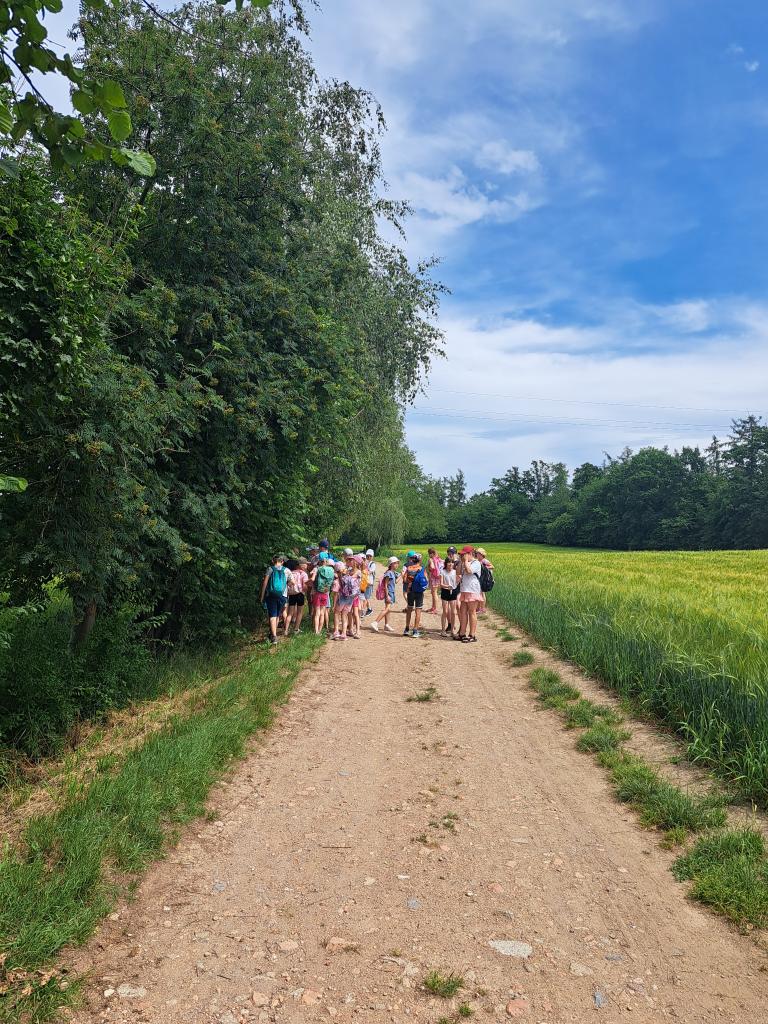 Družinový výšlap na Zbožnov., 26. 6. 2026