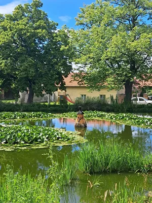Družinový výšlap na Zbožnov., 26. 6. 2026