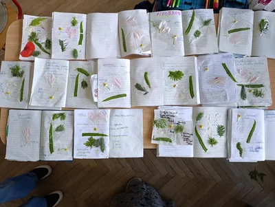 Naše badatelská činnost v prvouce..., 4. 6. 2026