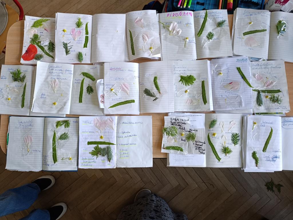Naše badatelská činnost v prvouce..., 4. 6. 2026