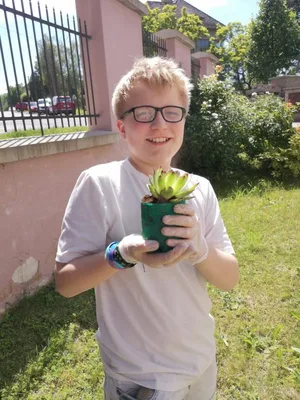 Praktické činnosti:  Sázíme netřesky do vlastnoručně vyrobených květináčků, 8. 6. 2026