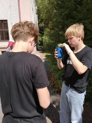 Praktické činnosti:  Sázíme netřesky do vlastnoručně vyrobených květináčků, 8. 6. 2026