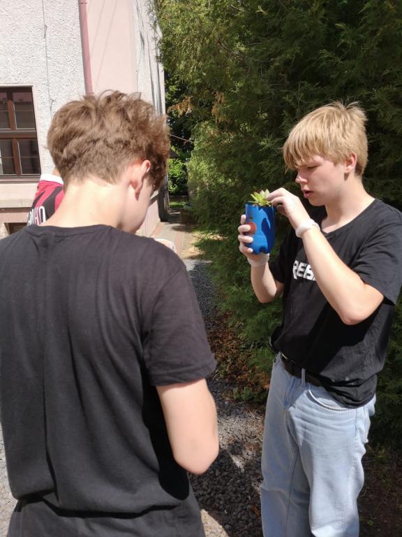 Praktické činnosti:  Sázíme netřesky do vlastnoručně vyrobených květináčků, 8. 6. 2026