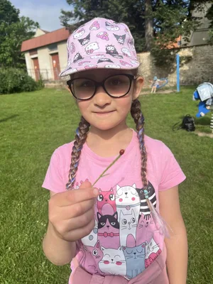 Předposlední týden v přípravné třídě, 23. 6. 2026
