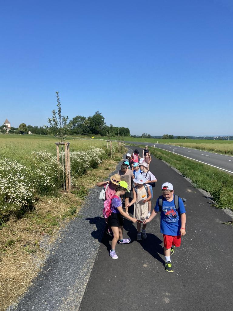 Výlet na Předhradí s dvojitým osvěžením, 25. 6. 2026