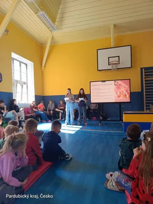 Výživa mladých sportovců a její vliv na výkon, 16. 6. 2026