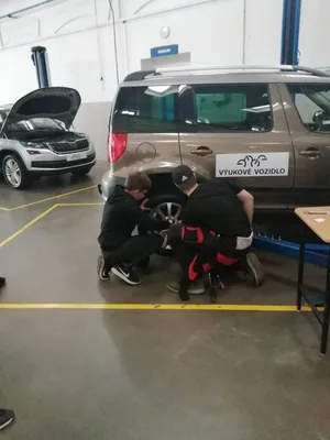 Projektový den Holice