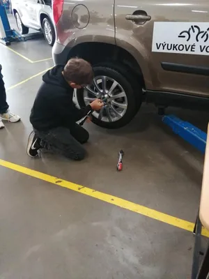 Projektový den Holice