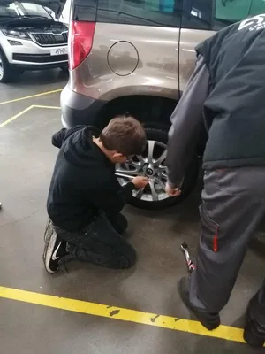 Projektový den Holice